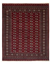 Bukhara Koberec 200x240cm - Orientální koberec – product image