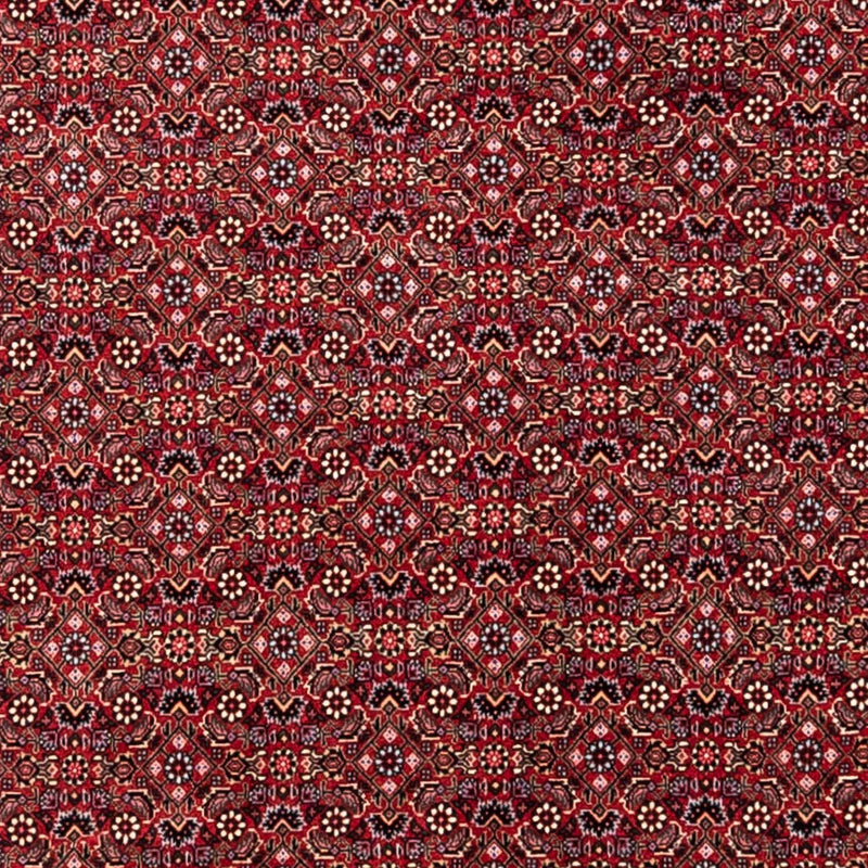 Bidjar - Takab Koberec 252x338cm - Perský koberec
