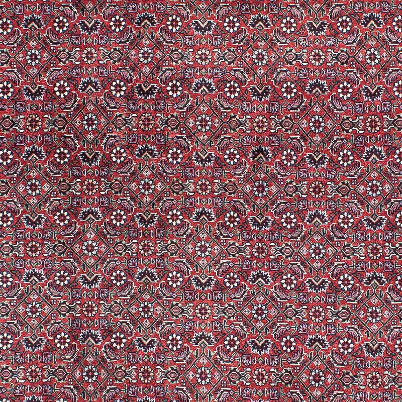 Bidjar Koberec 128x216cm - Perský koberec