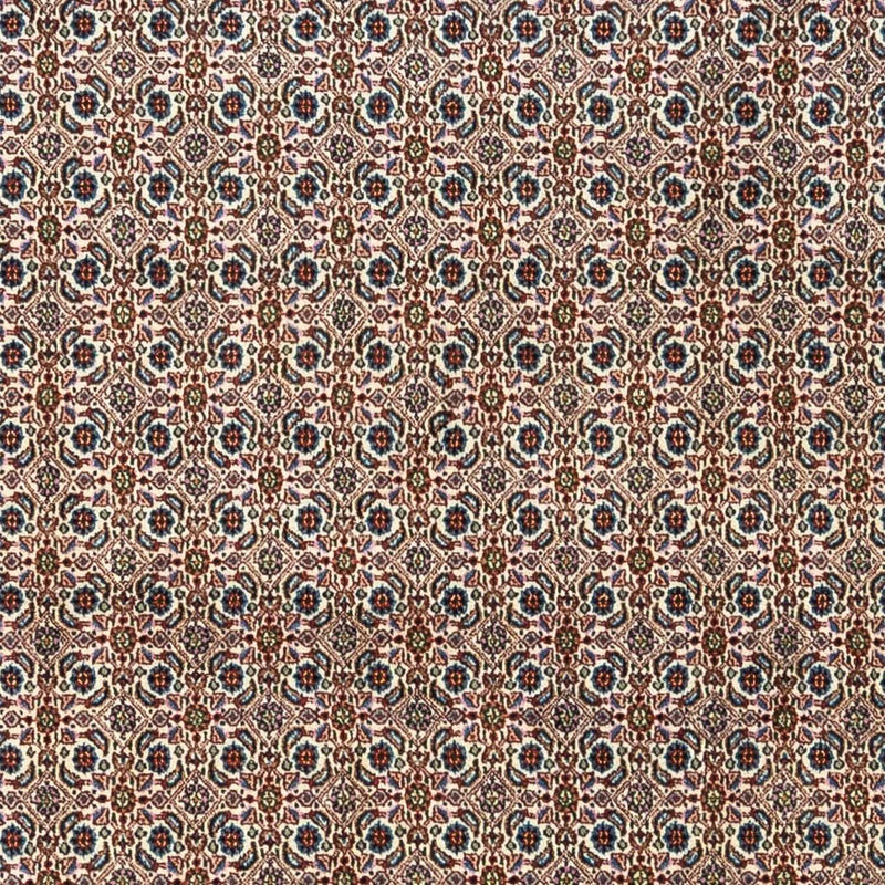 Moud Koberec 345x243cm - Perský koberec