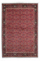 Bidjar - Zanjan Koberec 140x206cm - Perský koberec
