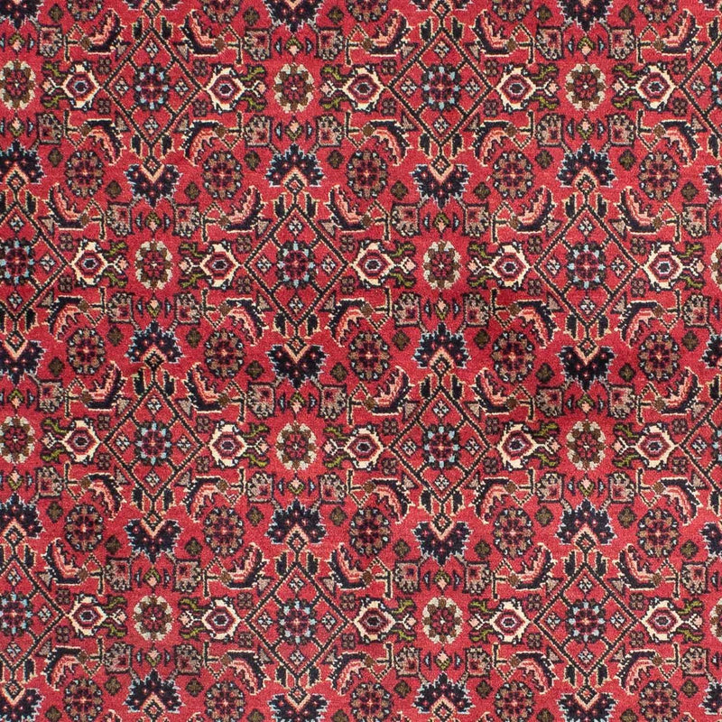Bidjar - Zanjan Koberec 140x206cm - Perský koberec