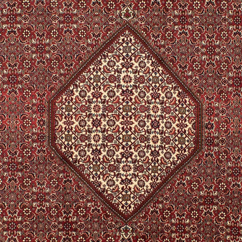 Bidjar Koberec 204x295cm - Perský koberec