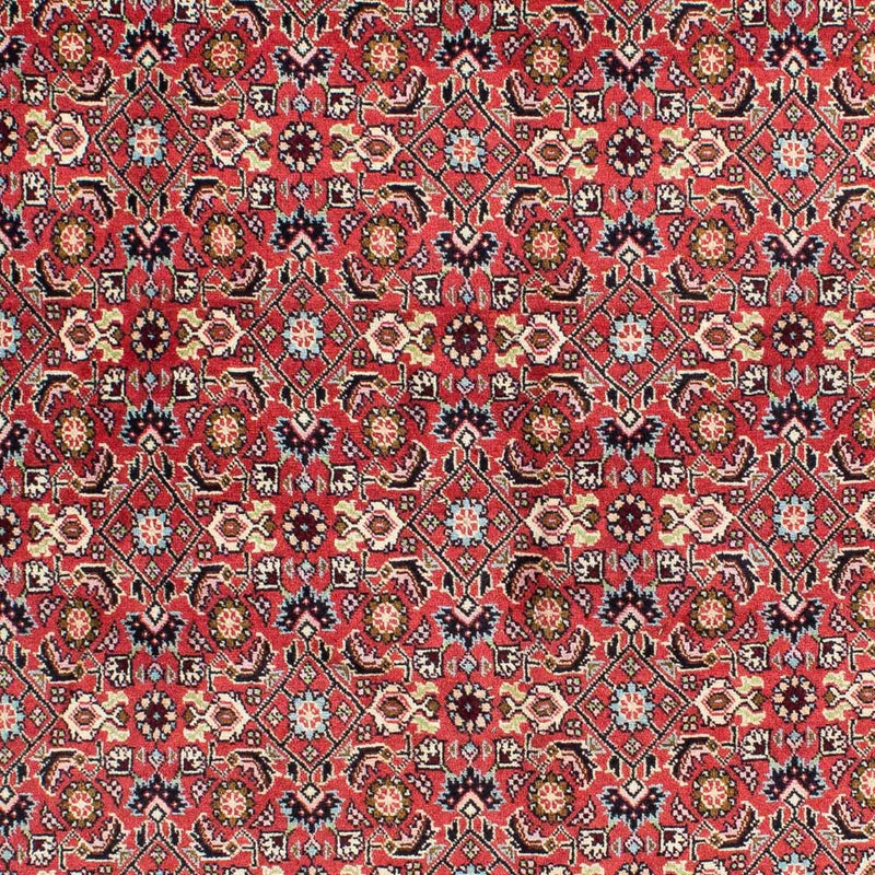 Bidjar - Zanjan Koberec 138x233cm - Perský koberec