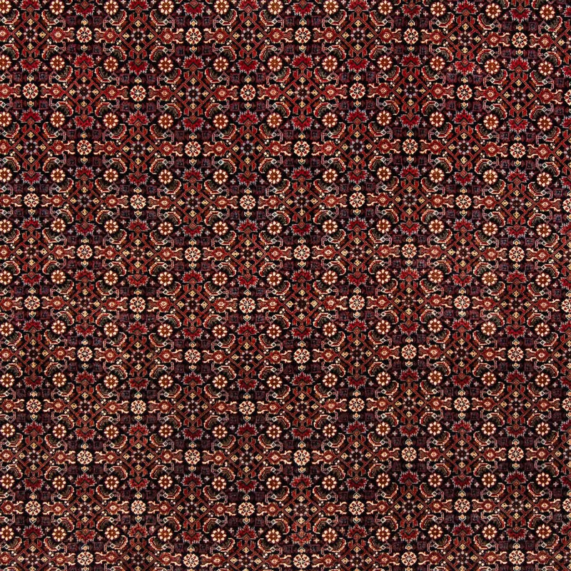 Bidjar Koberec 205x248cm - Perský koberec - tmavě červená
