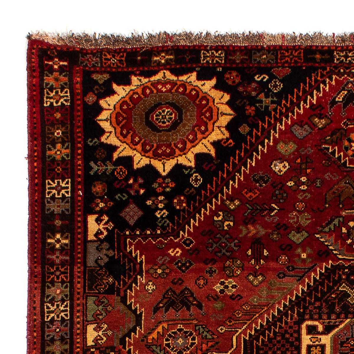Shiraz Koberec 185x285cm - Perský koberec