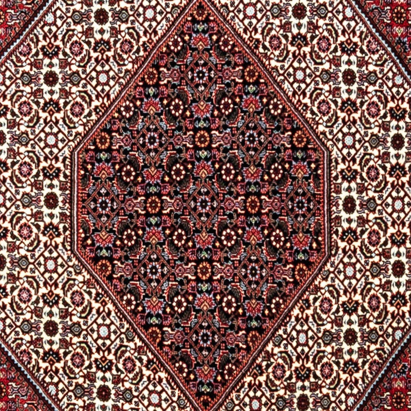 Bidjar - Takab Koberec 249x338cm - Perský koberec