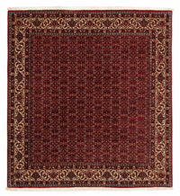 Bidjar Koberec 200x207cm - Perský koberec - tmavě červená – product image