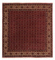 Bidjar Koberec 200x207cm - Perský koberec - tmavě červená
