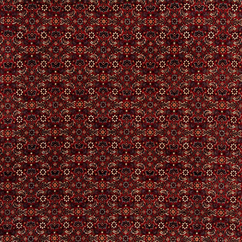 Bidjar Koberec 200x207cm - Perský koberec - tmavě červená