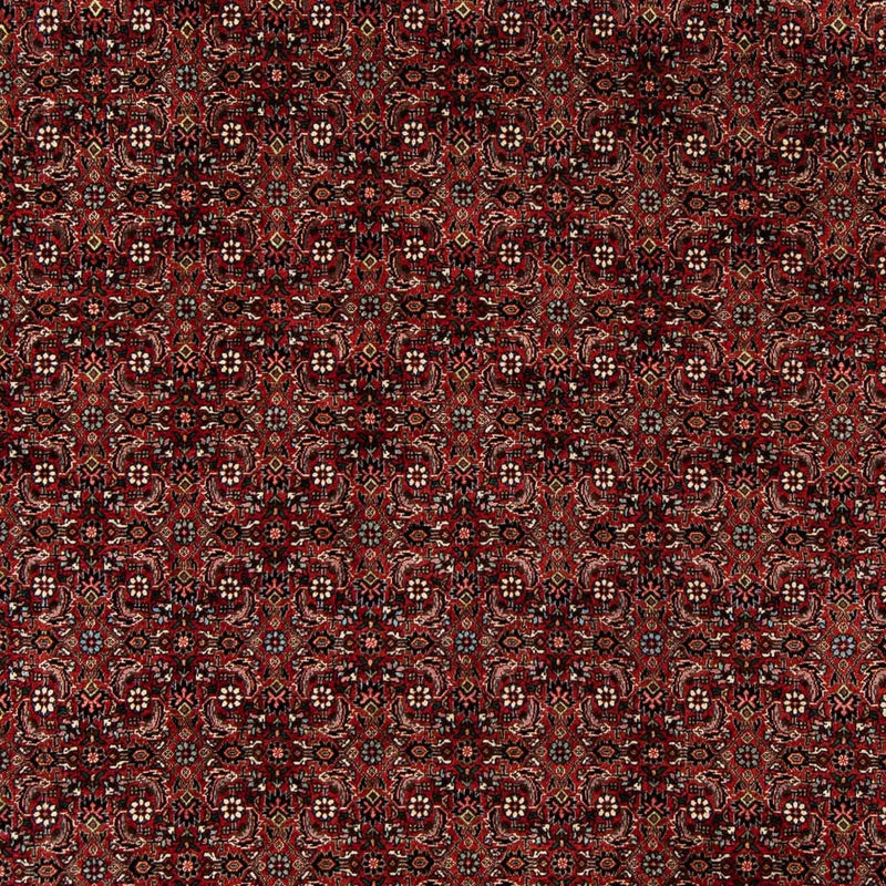 Bidjar Koberec 242x202cm - Perský koberec