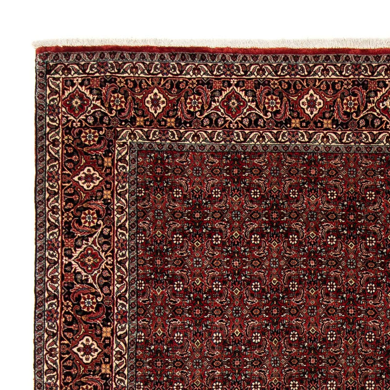 Bidjar Koberec 242x202cm - Perský koberec