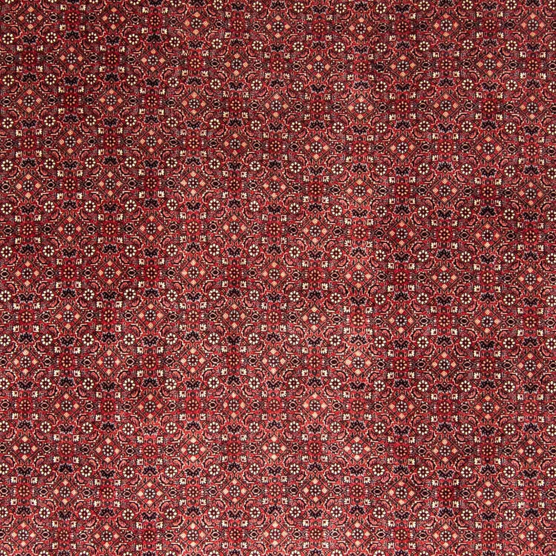 Bidjar Koberec 258x338cm - Perský koberec