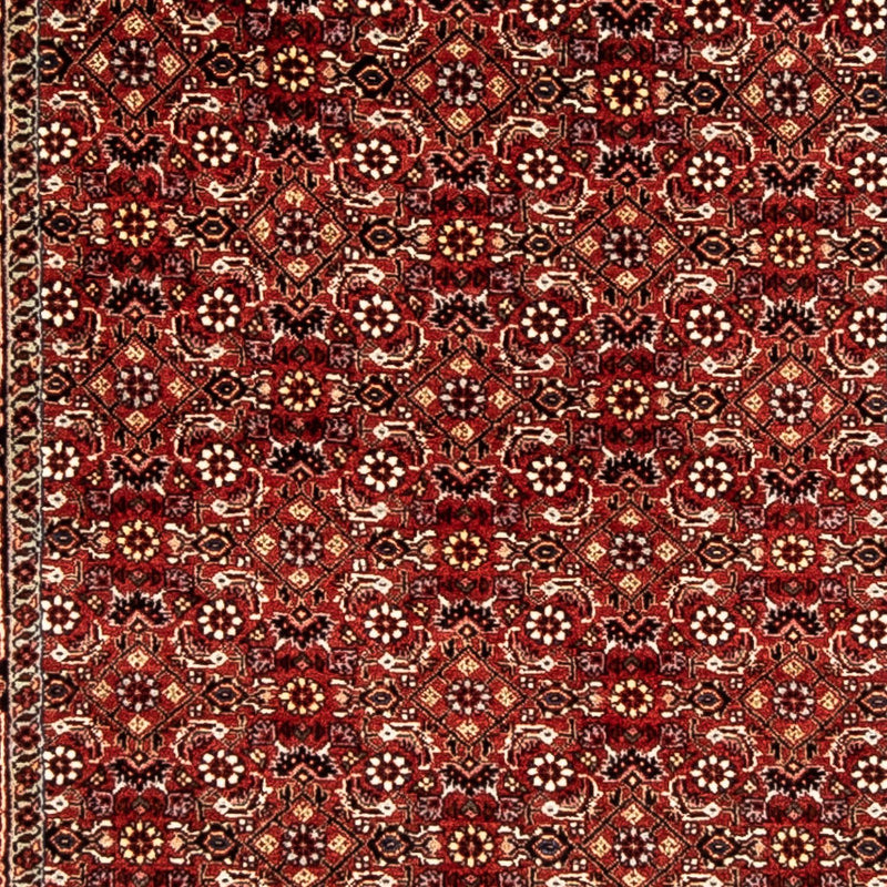 Bidjar Koberec 80x298cm - Perský koberec