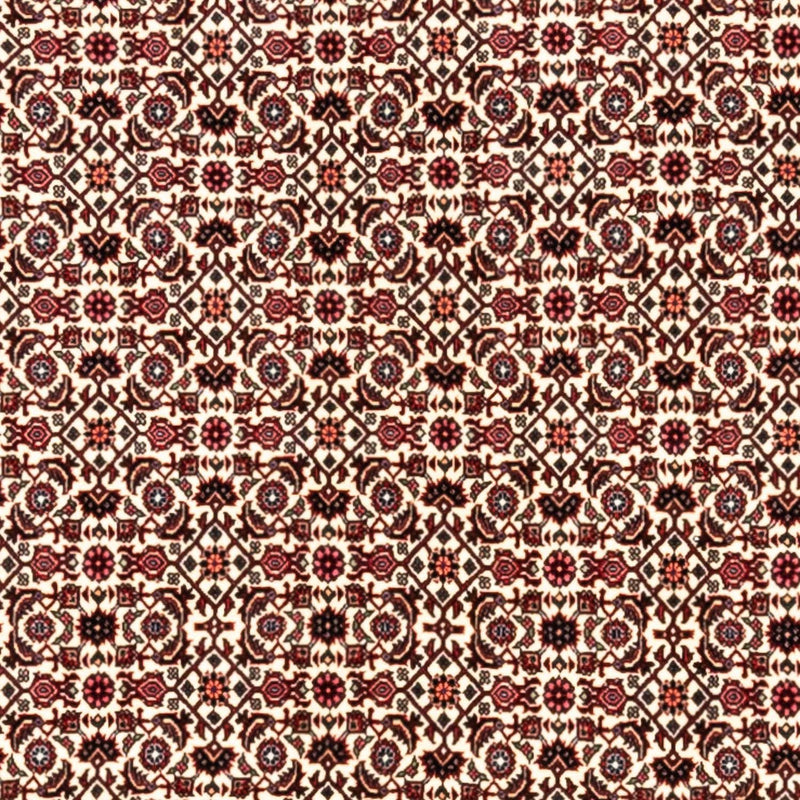 Bidjar - Takab Koberec 253x343cm - Perský koberec