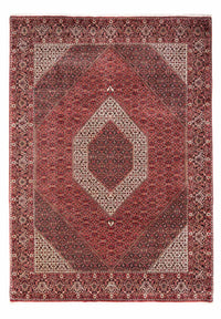 Bidjar - Takab Koberec 252x350cm - Perský koberec – product image