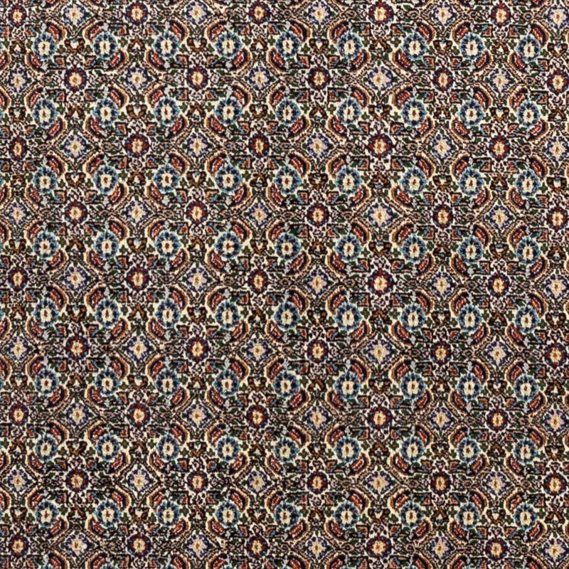 Moud Koberec 240x172cm - Perský koberec