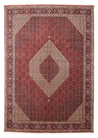 Bidjar Koberec 254x350cm - Perský koberec – product image