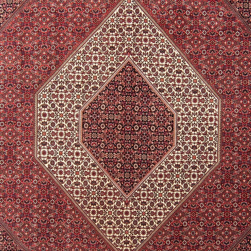 Bidjar Koberec 254x350cm - Perský koberec