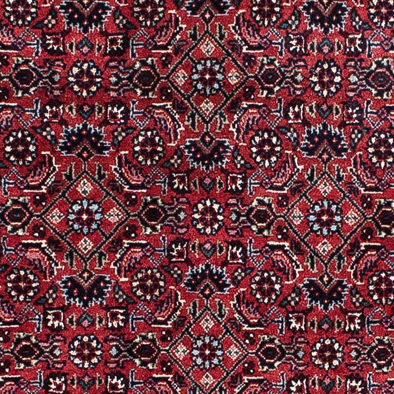 Bidjar - Zanjan Koberec 132x207cm - Perský koberec