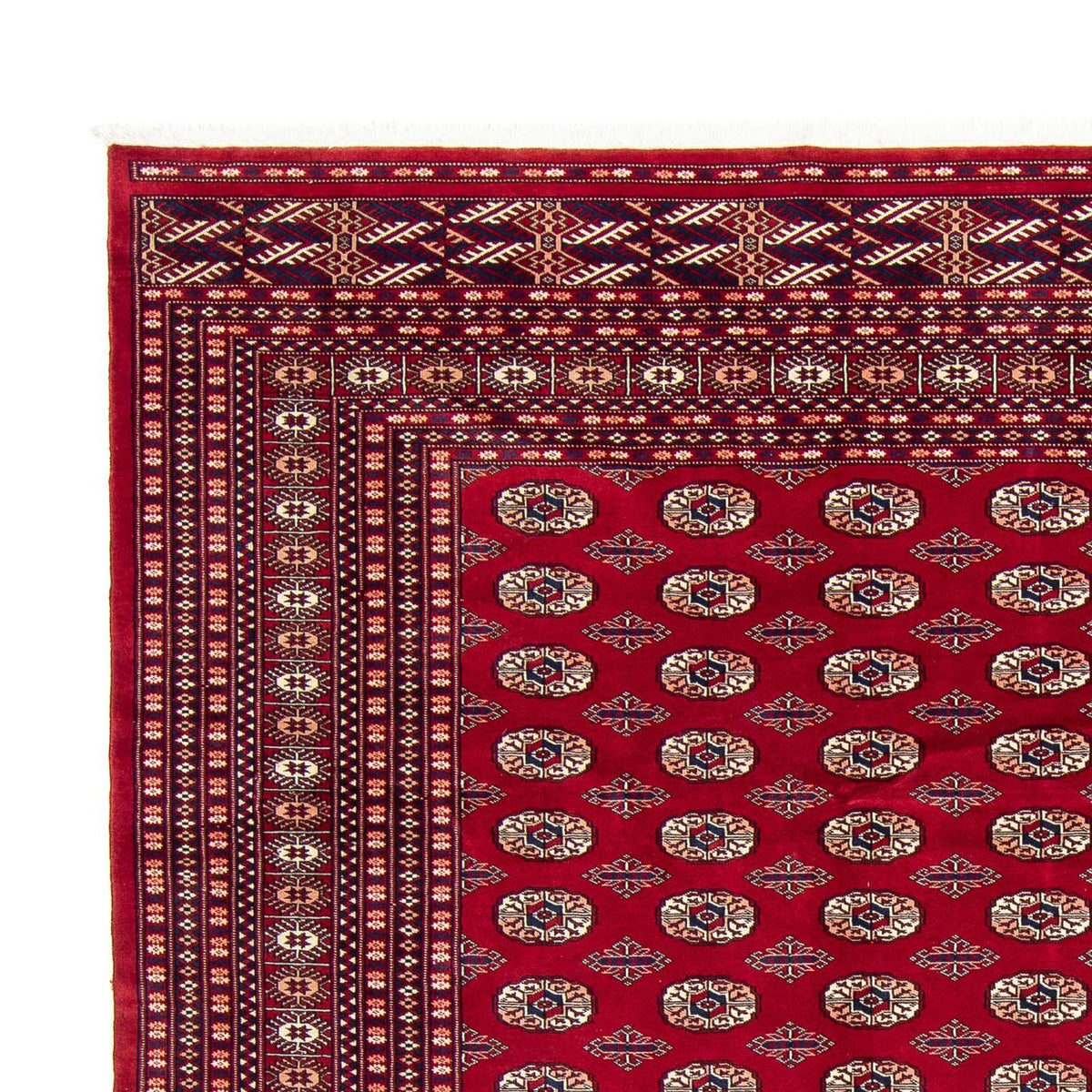 Bukhara Koberec 253x303cm - Orientální koberec