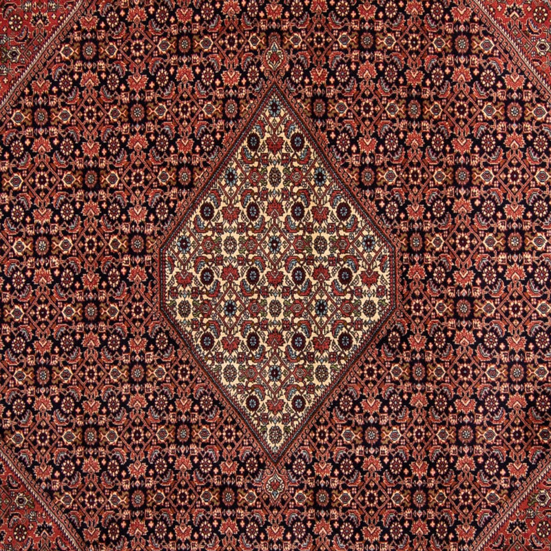 Bidjar Koberec 249x350cm - Perský koberec