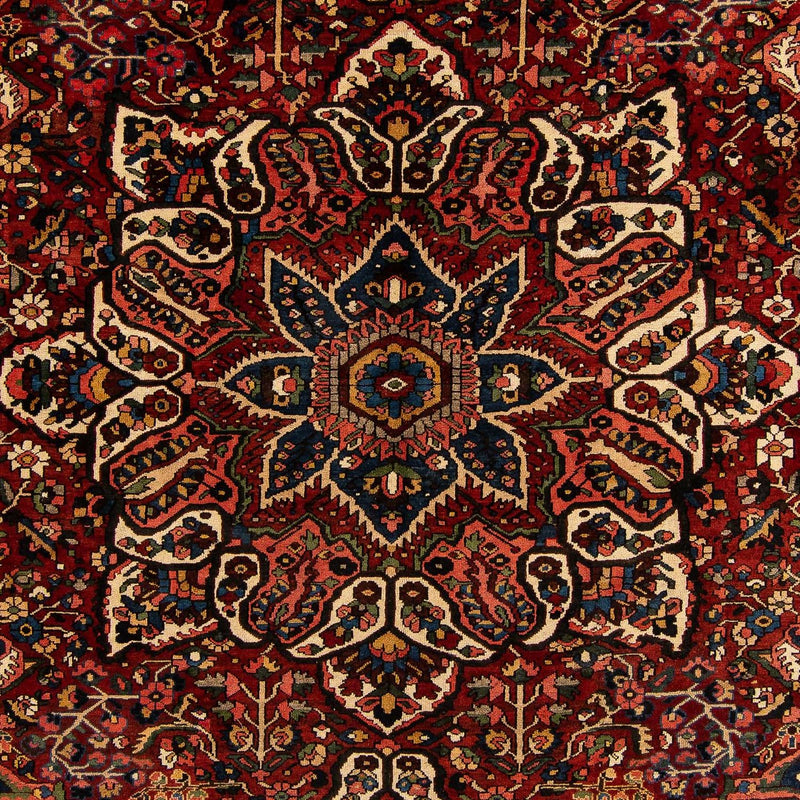Bakhtiari Koberec 333x408cm - Perský koberec - tmavě červená