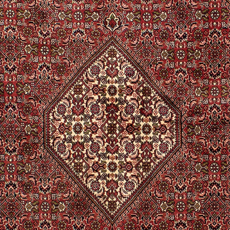 Bidjar Koberec 140x235cm - Perský koberec