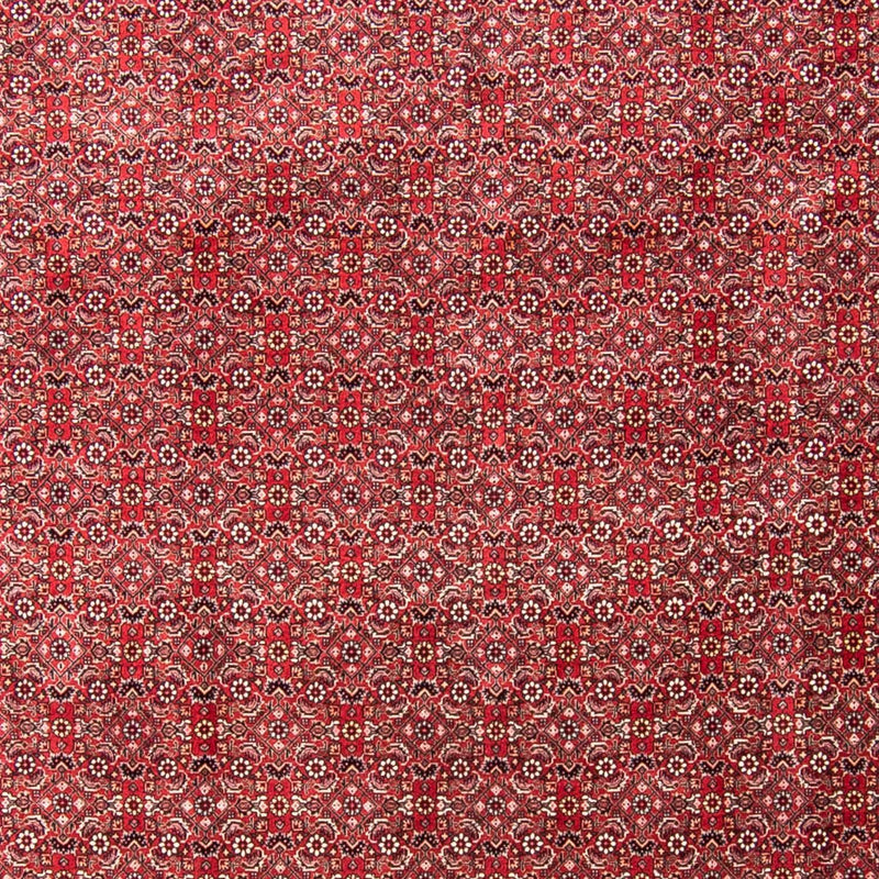 Bidjar Koberec 255x340cm - Perský koberec