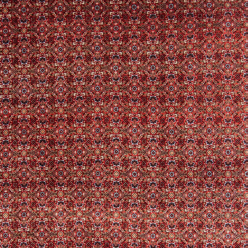 Bidjar Koberec 250x350cm - Perský koberec