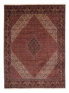 Bidjar Koberec 250x342cm - Perský koberec - Obdélníkový / Hnědá / 250 x 342 cm Obdélníkový