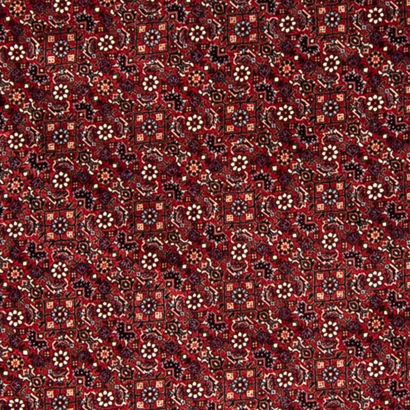 Bidjar Koberec 200x200cm - Perský koberec - tmavě červená