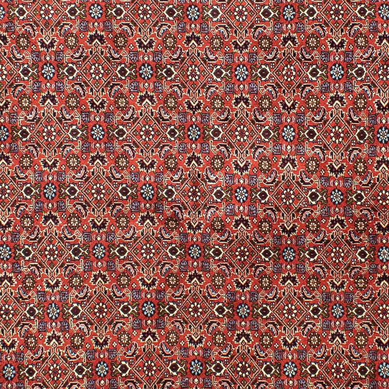 Bidjar Koberec 288x202cm - Perský koberec