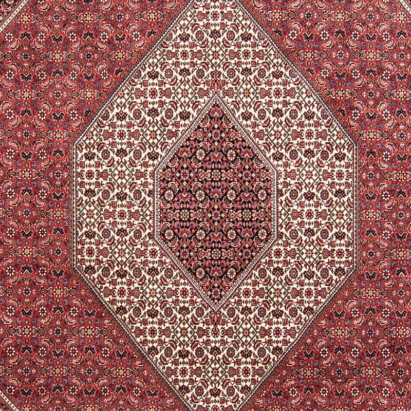 Bidjar Koberec 295x253cm - Perský koberec
