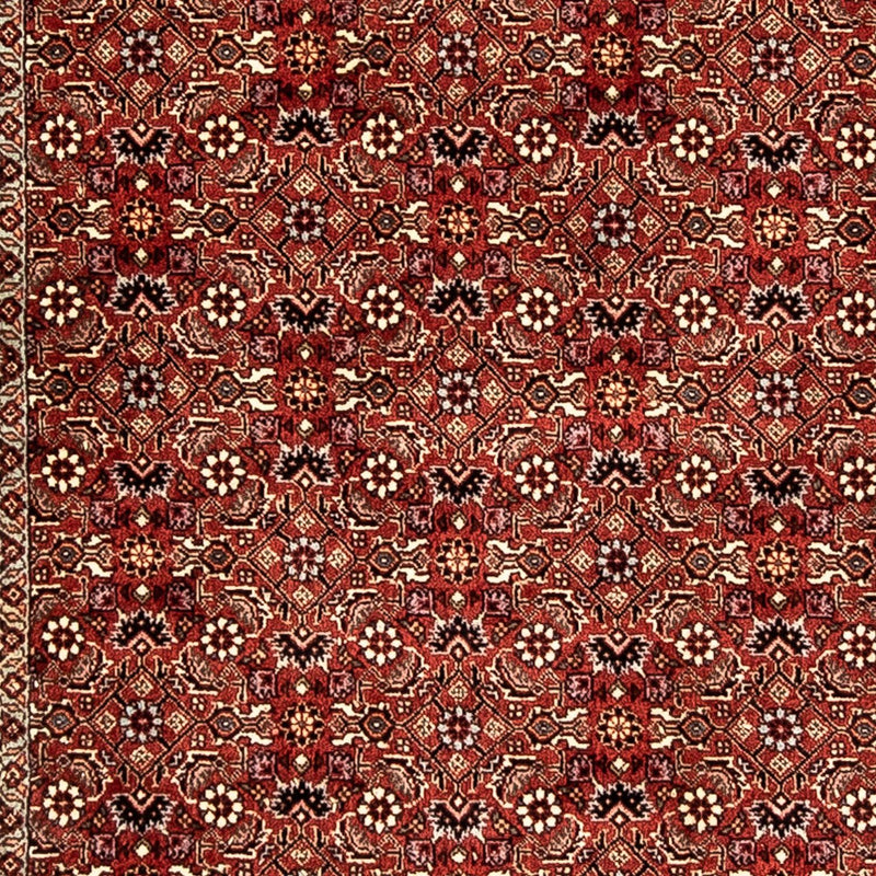 Bidjar Koberec 81x296cm - Perský koberec