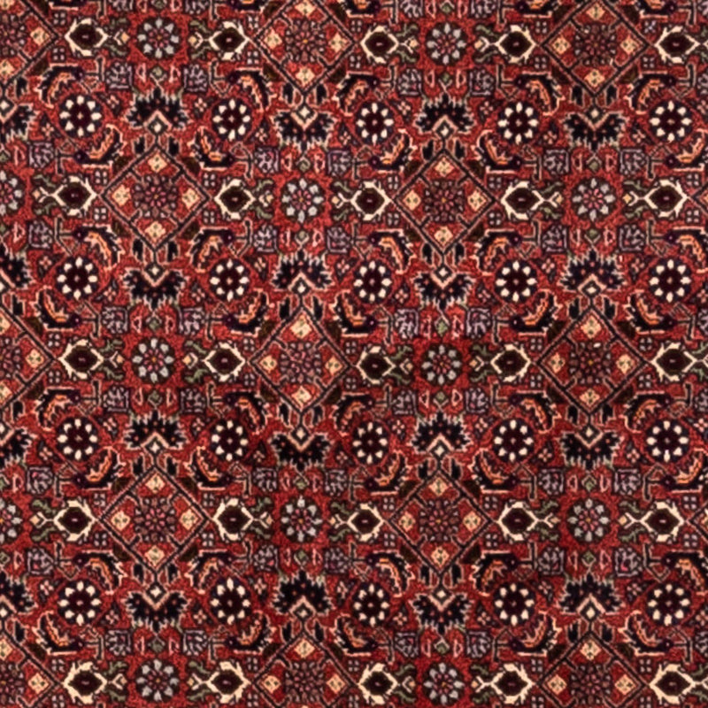 Bidjar - Takab Koberec 200x293cm - Perský koberec