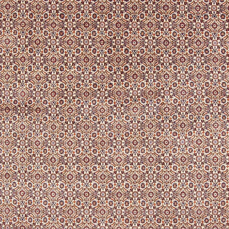 Moud Koberec 196x244cm - Perský koberec