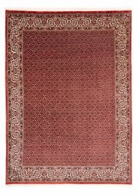 Bidjar Koberec 330x246cm - Perský koberec – product image