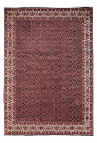 Bidjar - Takab Koberec 246x345cm - Perský koberec – product image