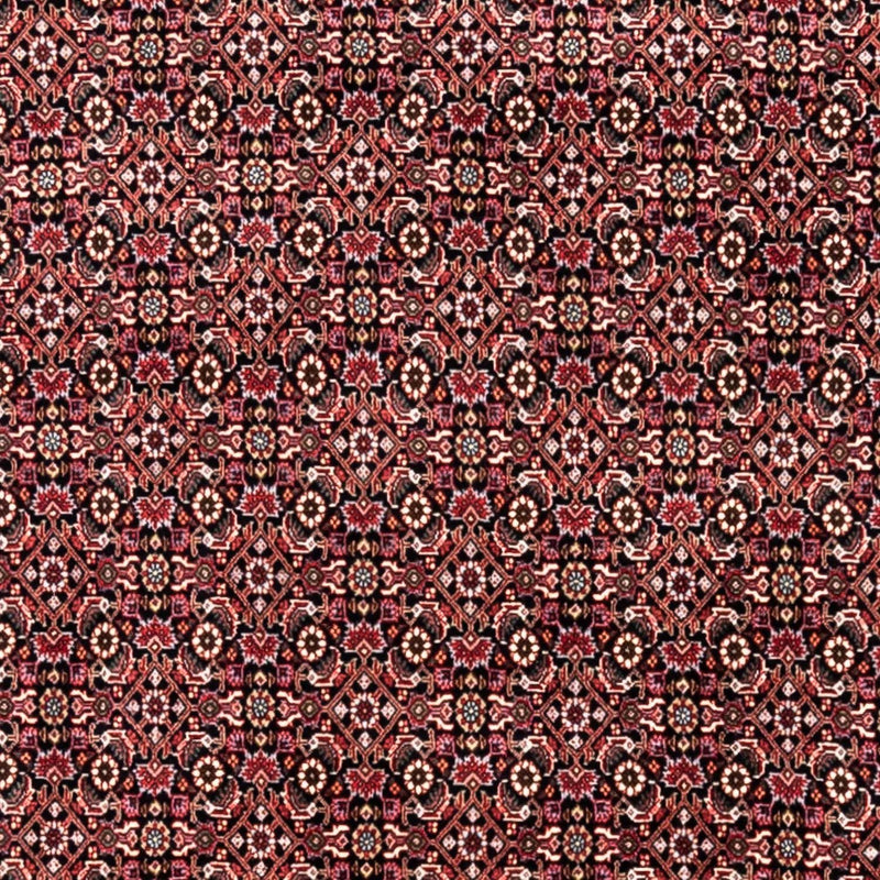 Bidjar - Takab Koberec 246x345cm - Perský koberec