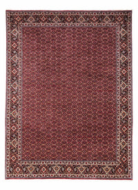 Bidjar - Takab Koberec 250x349cm - Perský koberec – product image