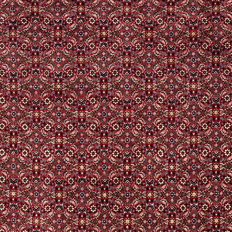 Bidjar - Takab Koberec 250x349cm - Perský koberec