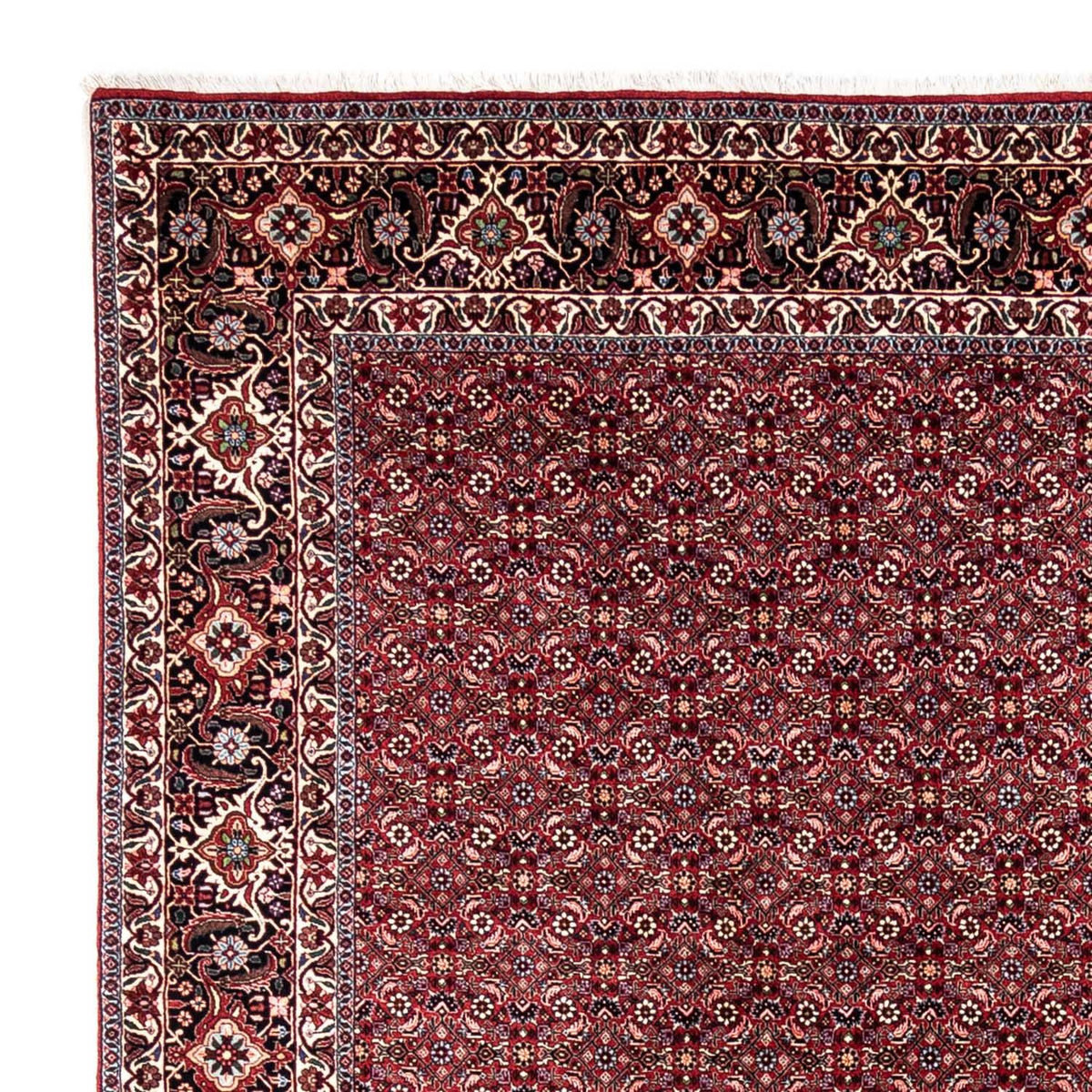 Bidjar - Takab Koberec 250x349cm - Perský koberec