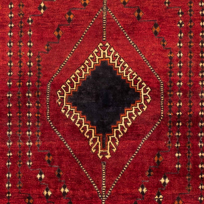 Shiraz Koberec 257x157cm - Perský koberec
