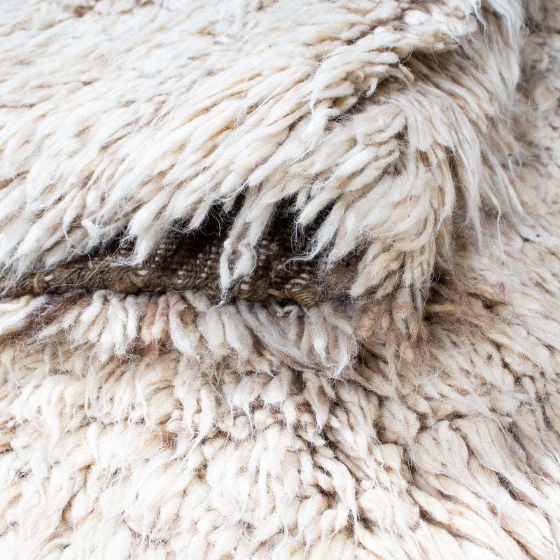 Shaggy Koberec 243x172cm - Shaggy Teppich