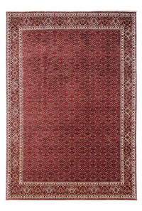 Bidjar - Takab Koberec 253x345cm - Perský koberec – product image