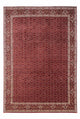 Bidjar - Takab Koberec 253x345cm - Perský koberec
