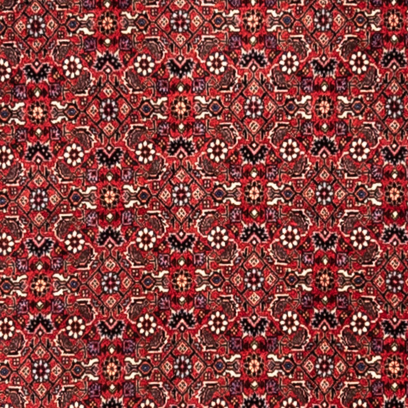 Bidjar - Takab Koberec 253x345cm - Perský koberec