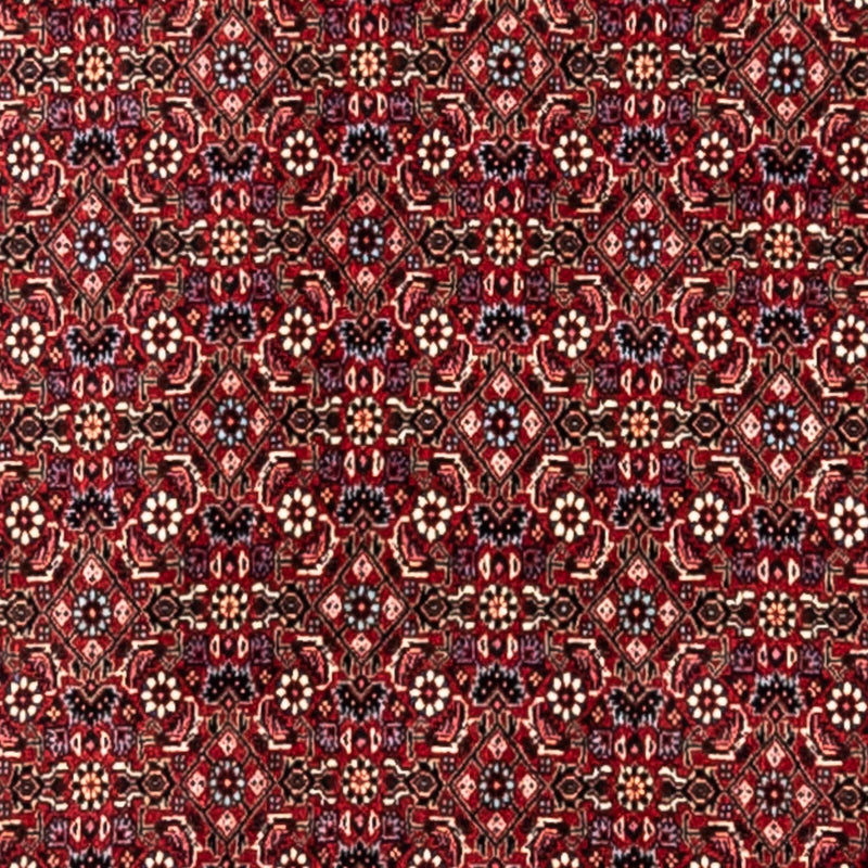 Bidjar - Takab Koberec 251x343cm - Perský koberec