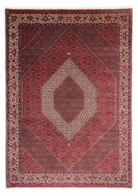 Bidjar Koberec 254x351cm - Perský koberec – product image